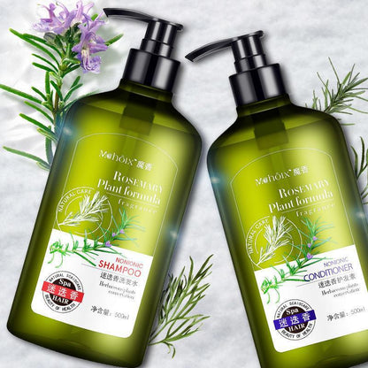Rosemary Body Wash | Shampoo For Hair Care, Refreshing And Oil Control